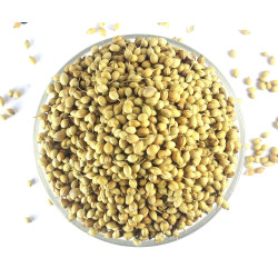 Coriander | Dhaniya Whole 200 g